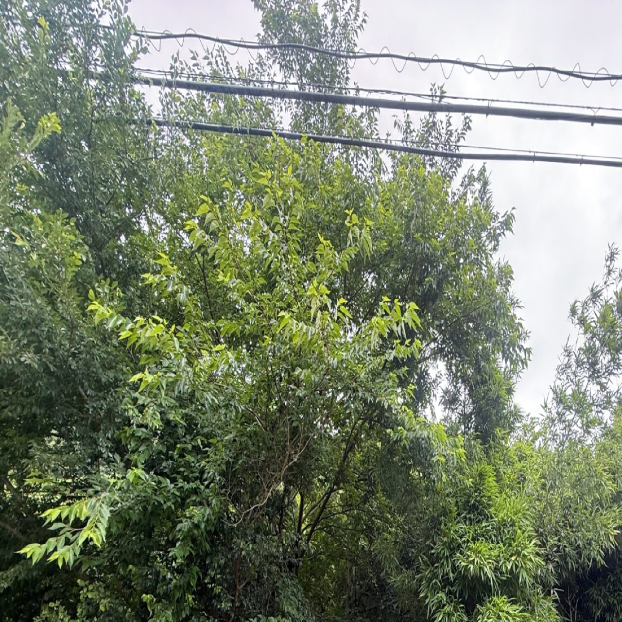 「瀬戸市・春日井市の相続人不明土地を整理・売却する方法｜固定資産税負担を軽減する愛知県内の実務ガイド」①